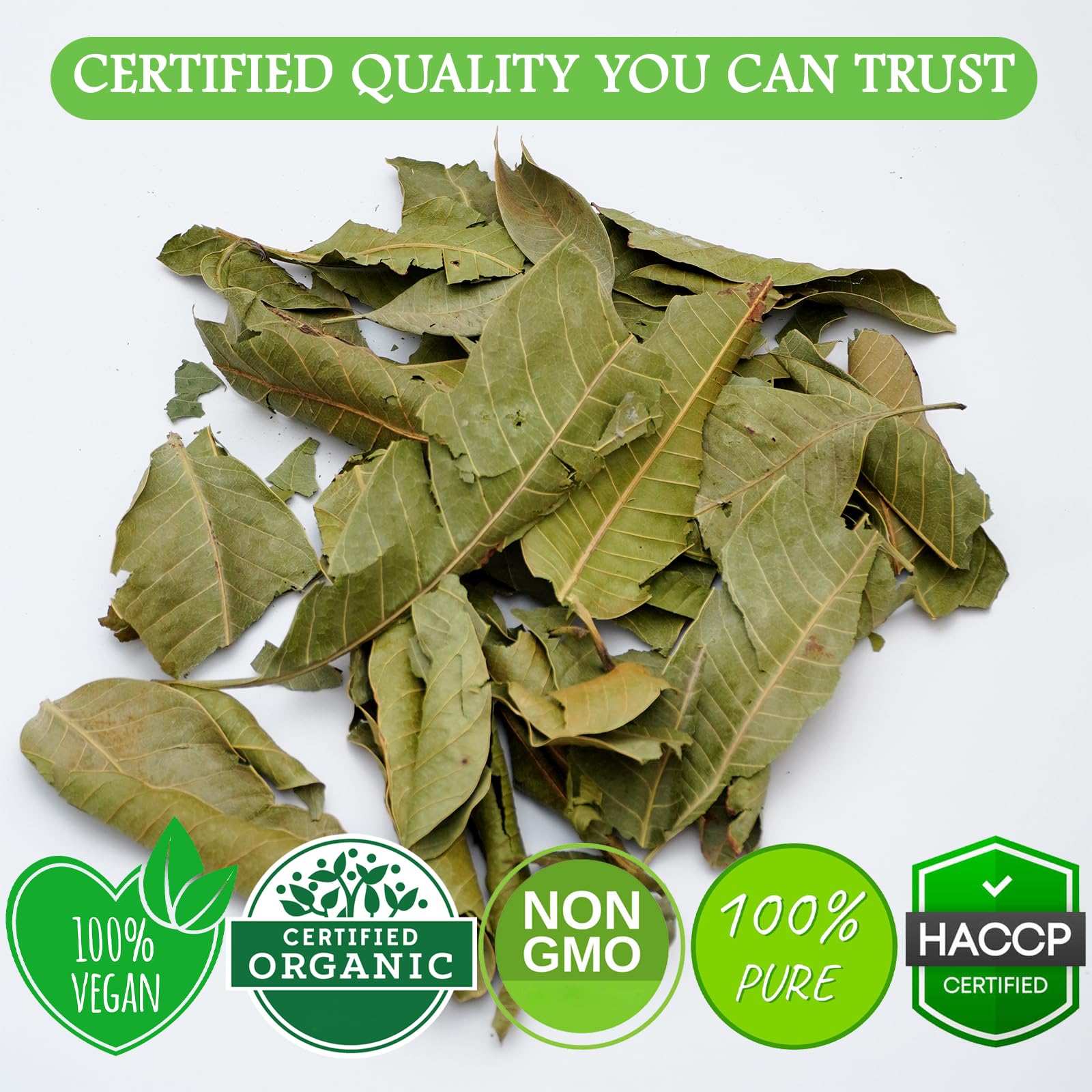 Cure wid Pure air-dried mango leaves ready for a gentle brew or smoothie addition.