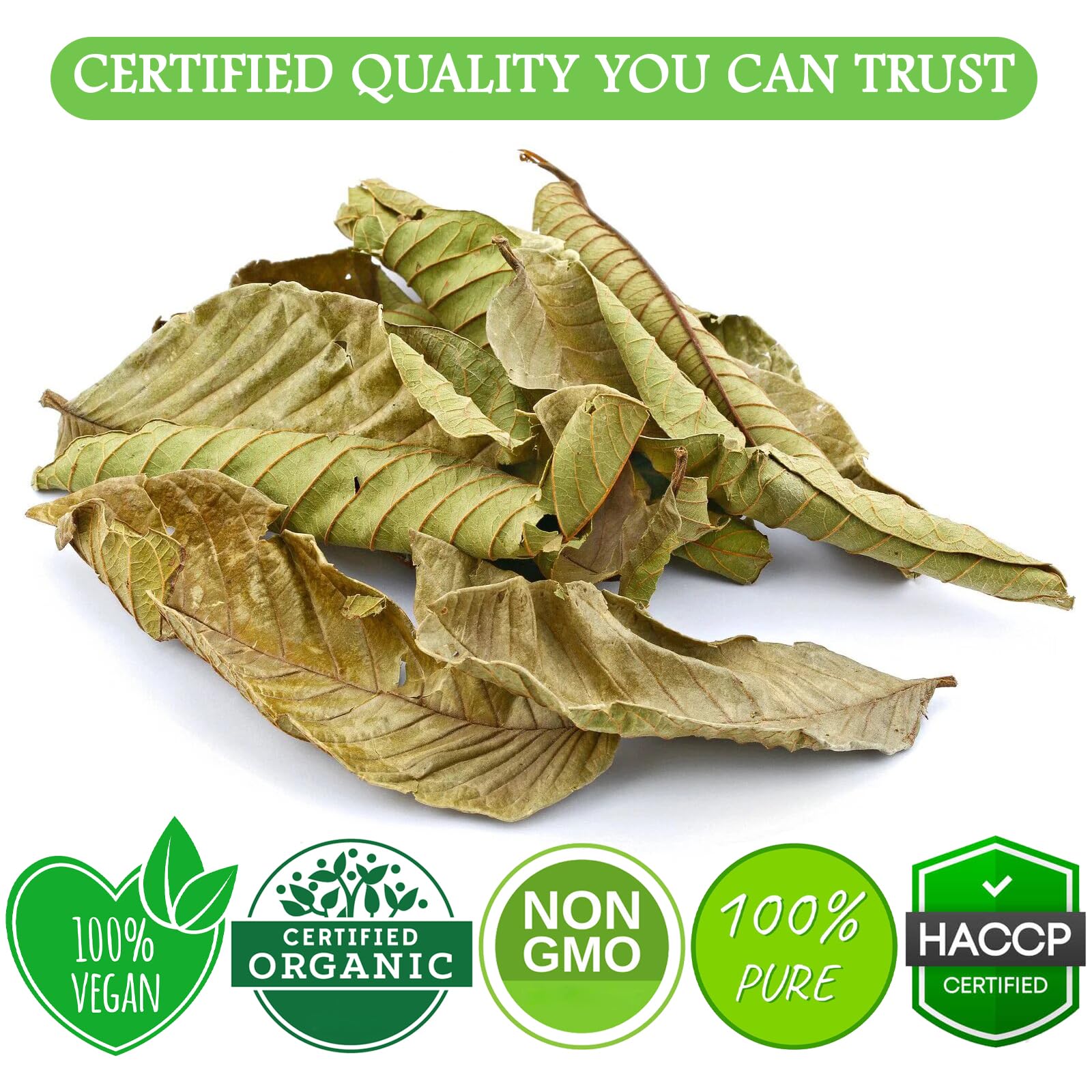 Cure Wid Pure guava leaves tea air-dried leaves preserve potency and aroma