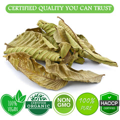 Cure Wid Pure guava leaves tea air-dried leaves preserve potency and aroma