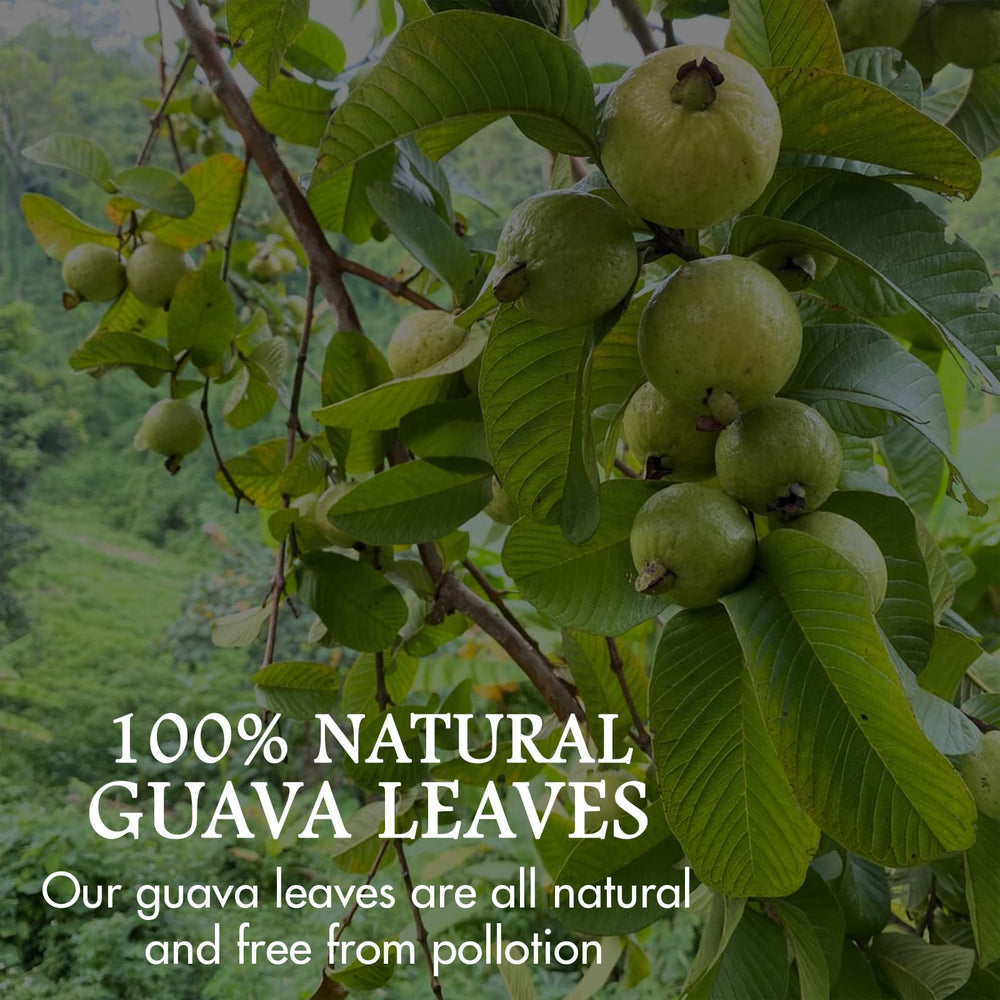 From Pakistani orchards, Cure Wid Pure guava leaves tea evokes heritage
