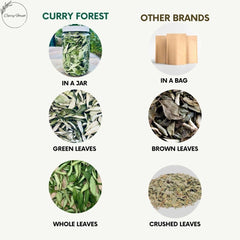 Curry Forest USA-grown curry leaves harvested on sustainable farm for authentic cooking.