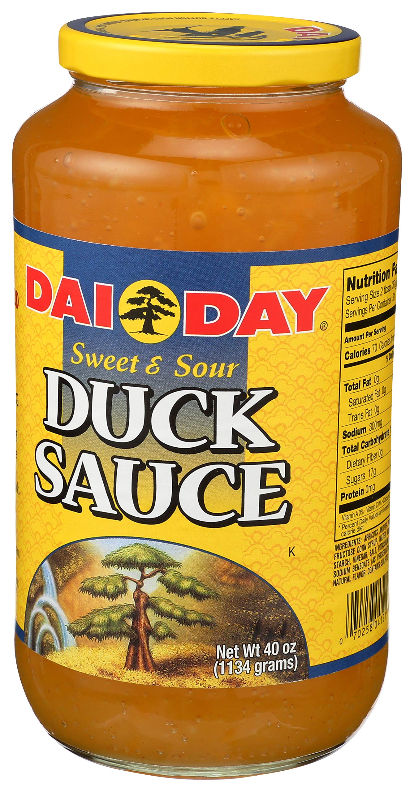 Dai Day Duck Sauce 40 oz bottle pour with glossy glaze for dumplings.