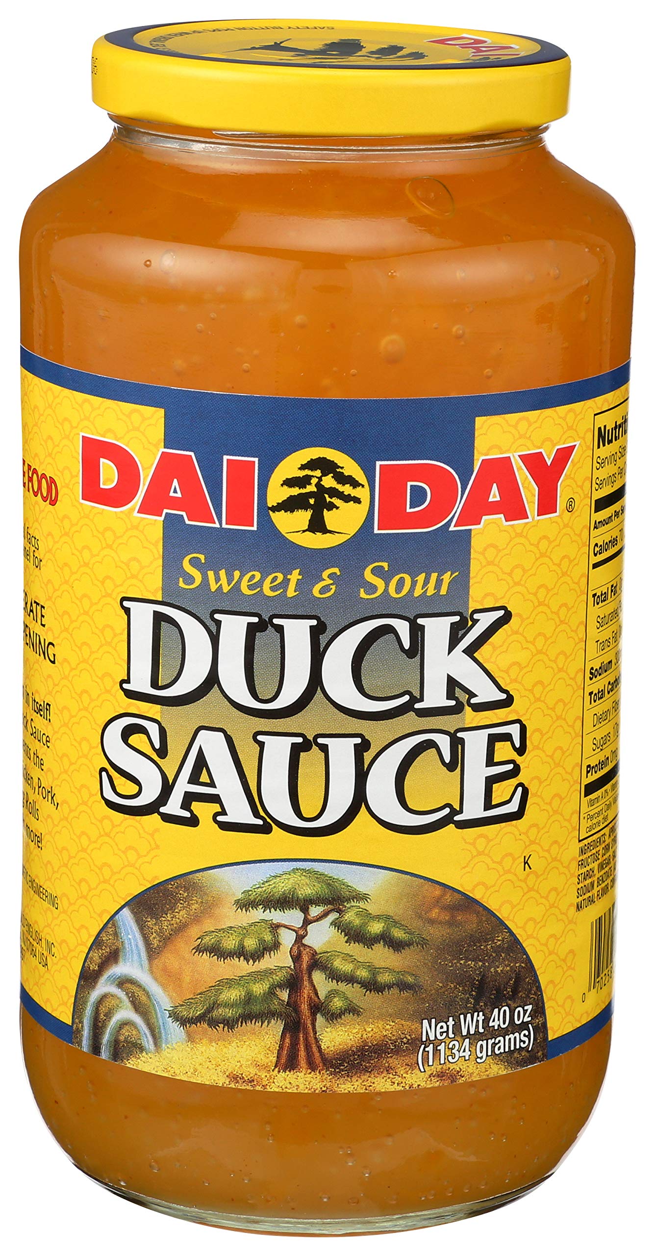 Dai Day Duck Sauce 40 oz bottle ready for dipping fried snacks.