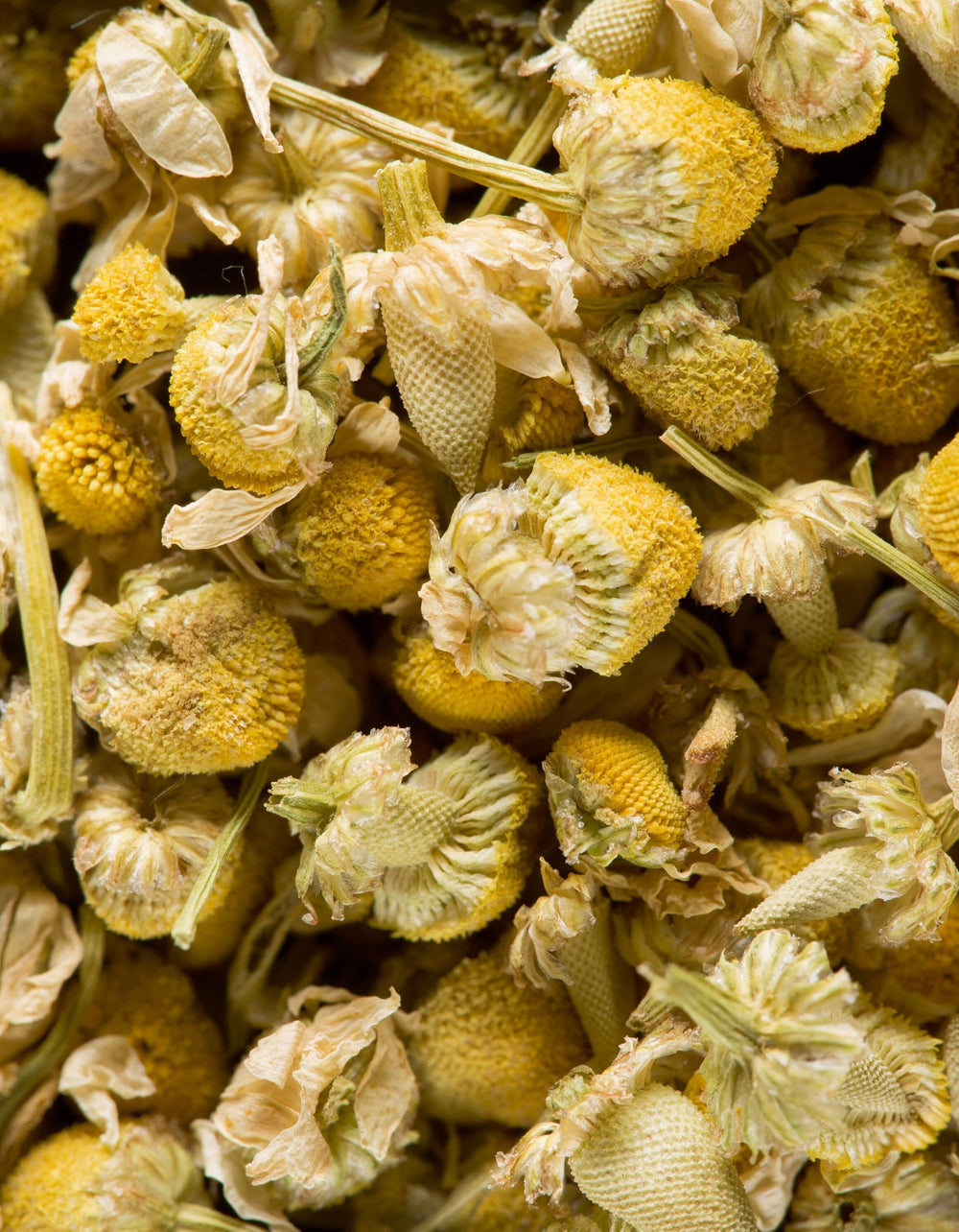 Dammann Freres chamomile tea cup ready for a relaxing moment