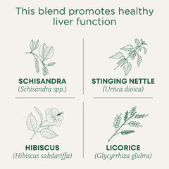 Traditional Medicinals Everyday Detox uses dandelion and schisandra herbs.
