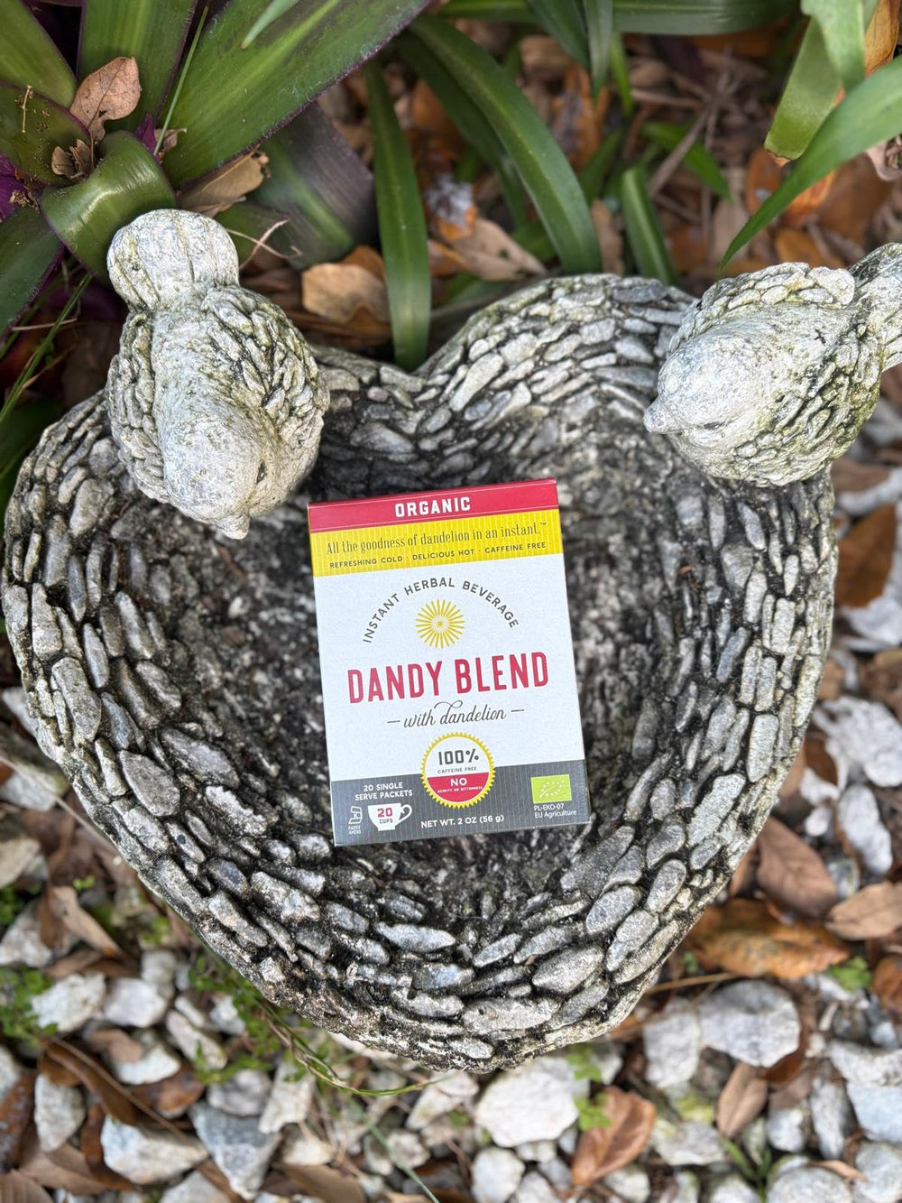 Dandy Blend cold beverage served over ice for refreshing caffeine-free enjoyment.