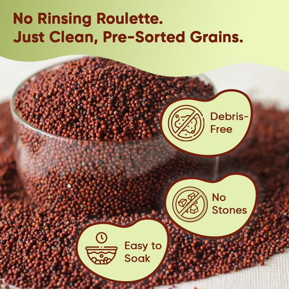 Danodia Foods ragi multigrain chapatis showcase meal versatility and texture.