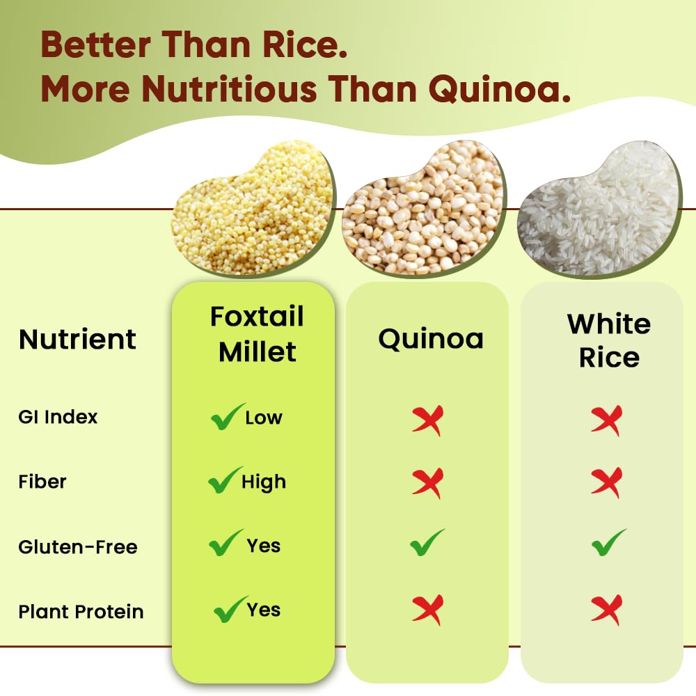 Danodia Foxtail Millet provides gluten-free meal base for variety.