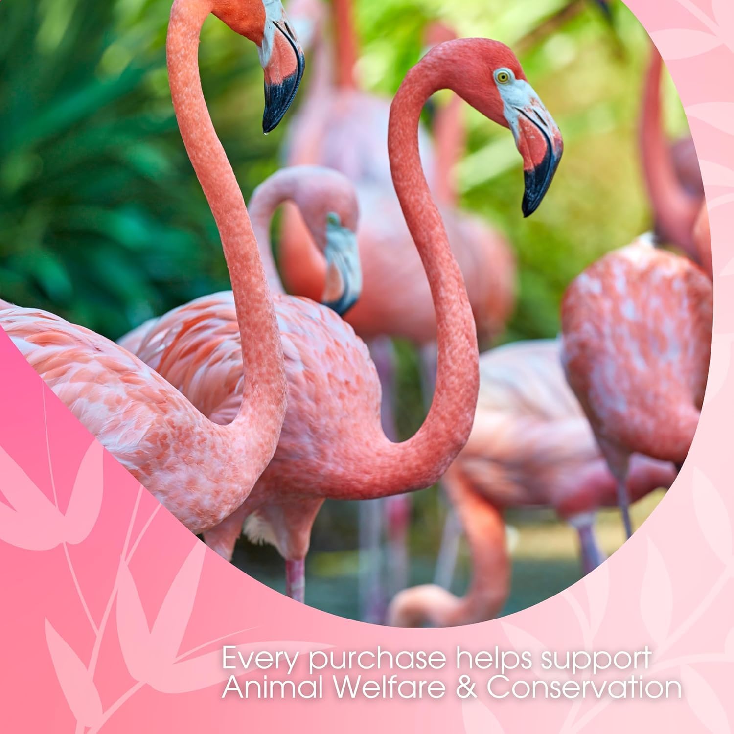 David Rio Flamingo Vanilla Chai dairy-free and gluten-free label
