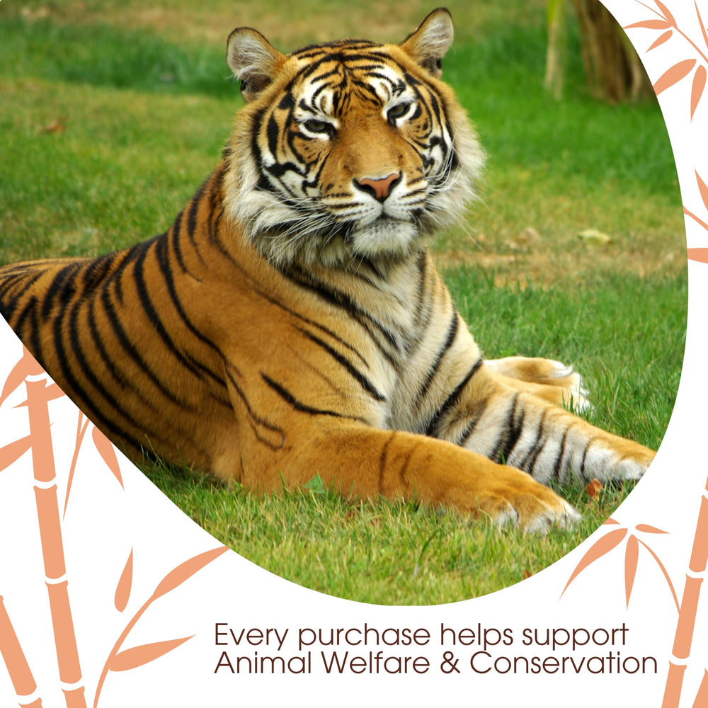 David Rio packaging notes support for International Fund for Animal Welfare