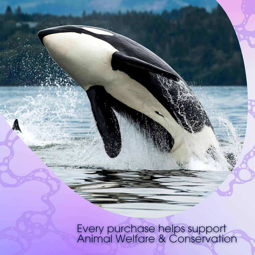 David Rio Orca Spice travel cup ready to enjoy on the go