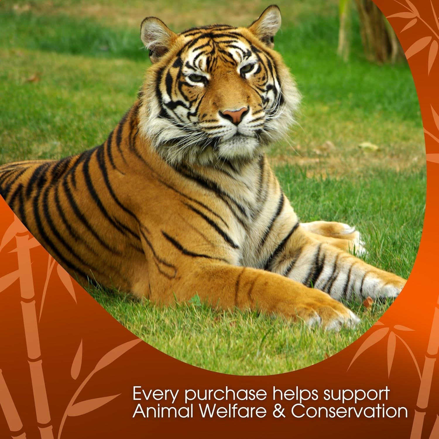 David Rio Tiger Spice Chai 1.8 kg bag packaging for bulk use
