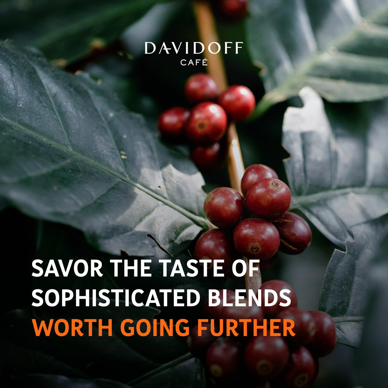 Davidoff Fine Aroma ground coffee package offers a convenient, fast brewing option.