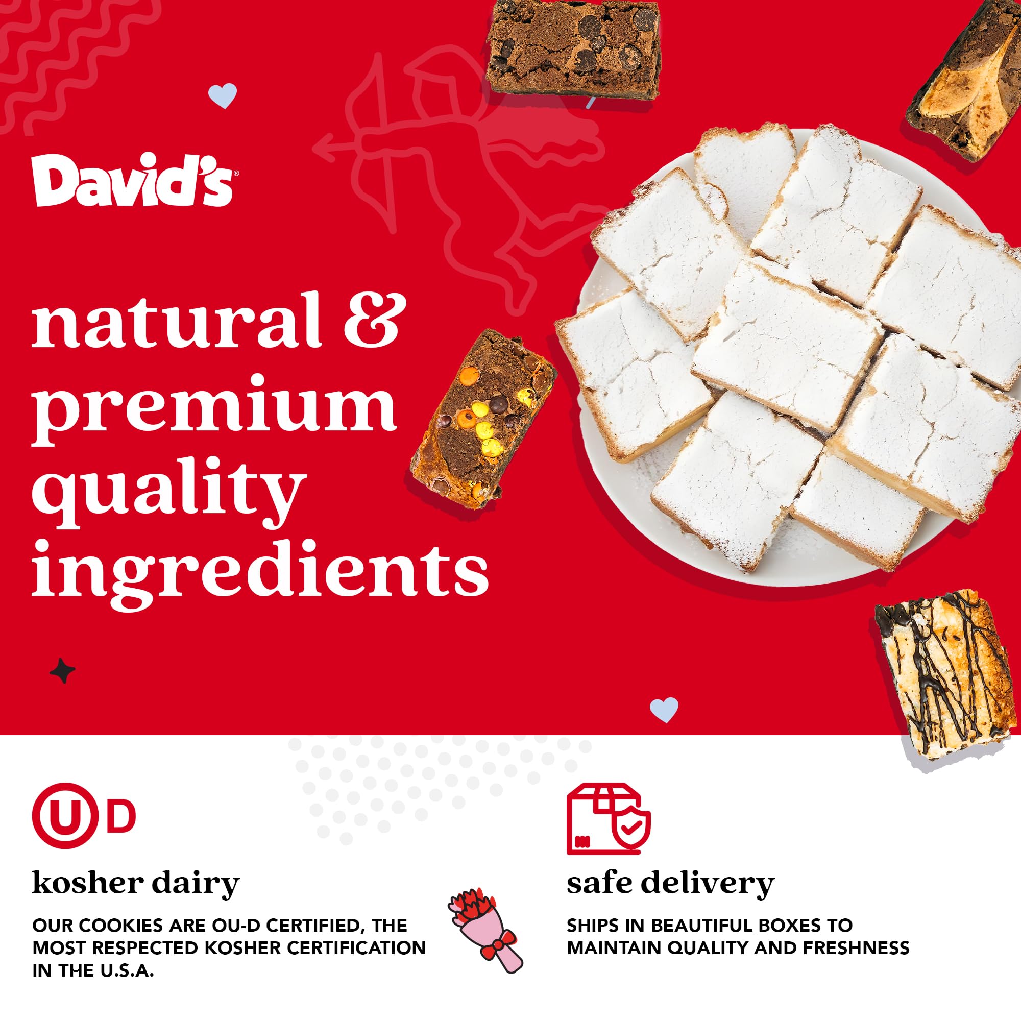 Close-up of rich chocolate fudge brownie slice from David's Cookies, premium texture.