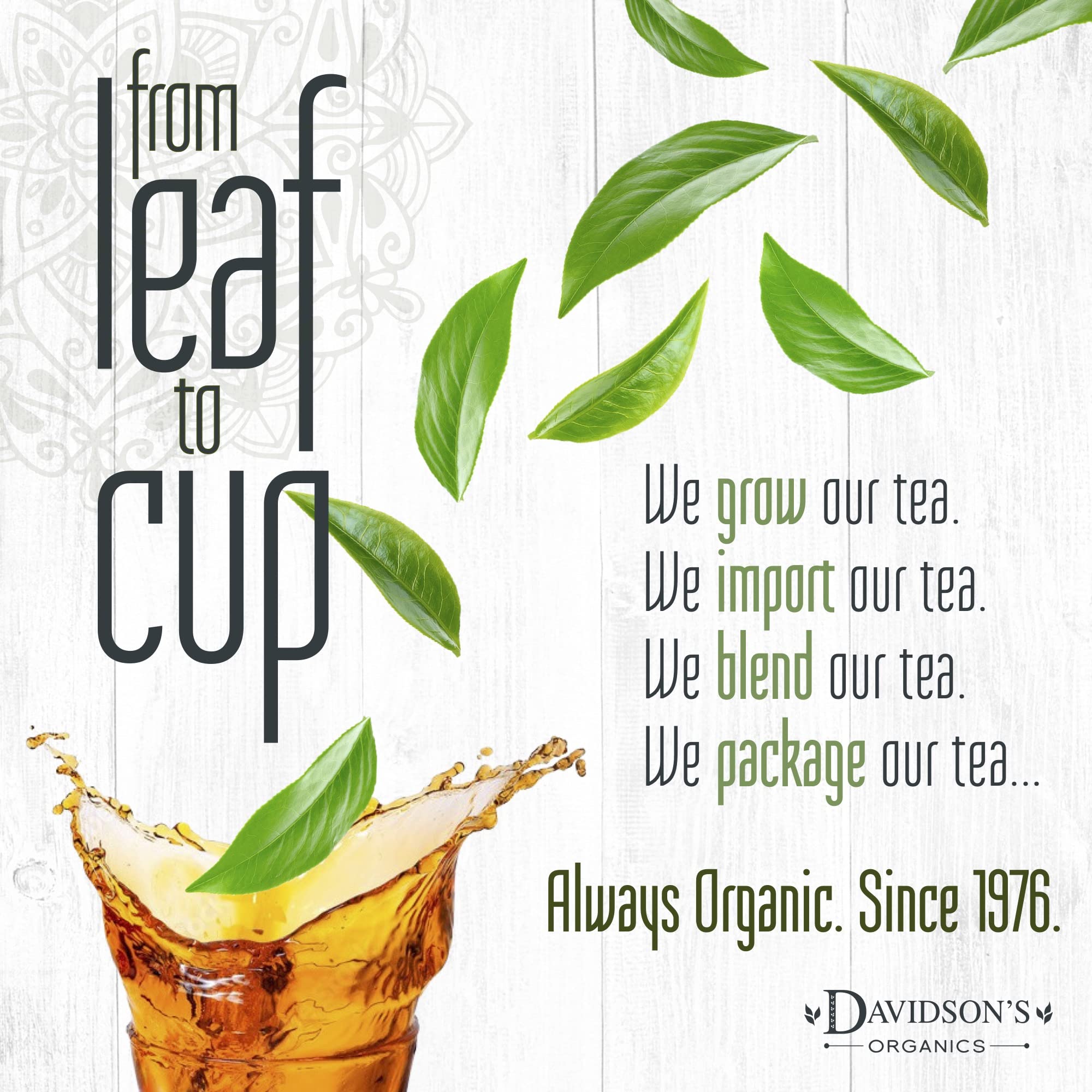 Close-up of bergamot oil on Davidson's bergamot-infused black tea.