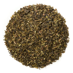 Steeping cup reveals a fragrant, minty brew from Davidson's Moroccan Green with Mint.