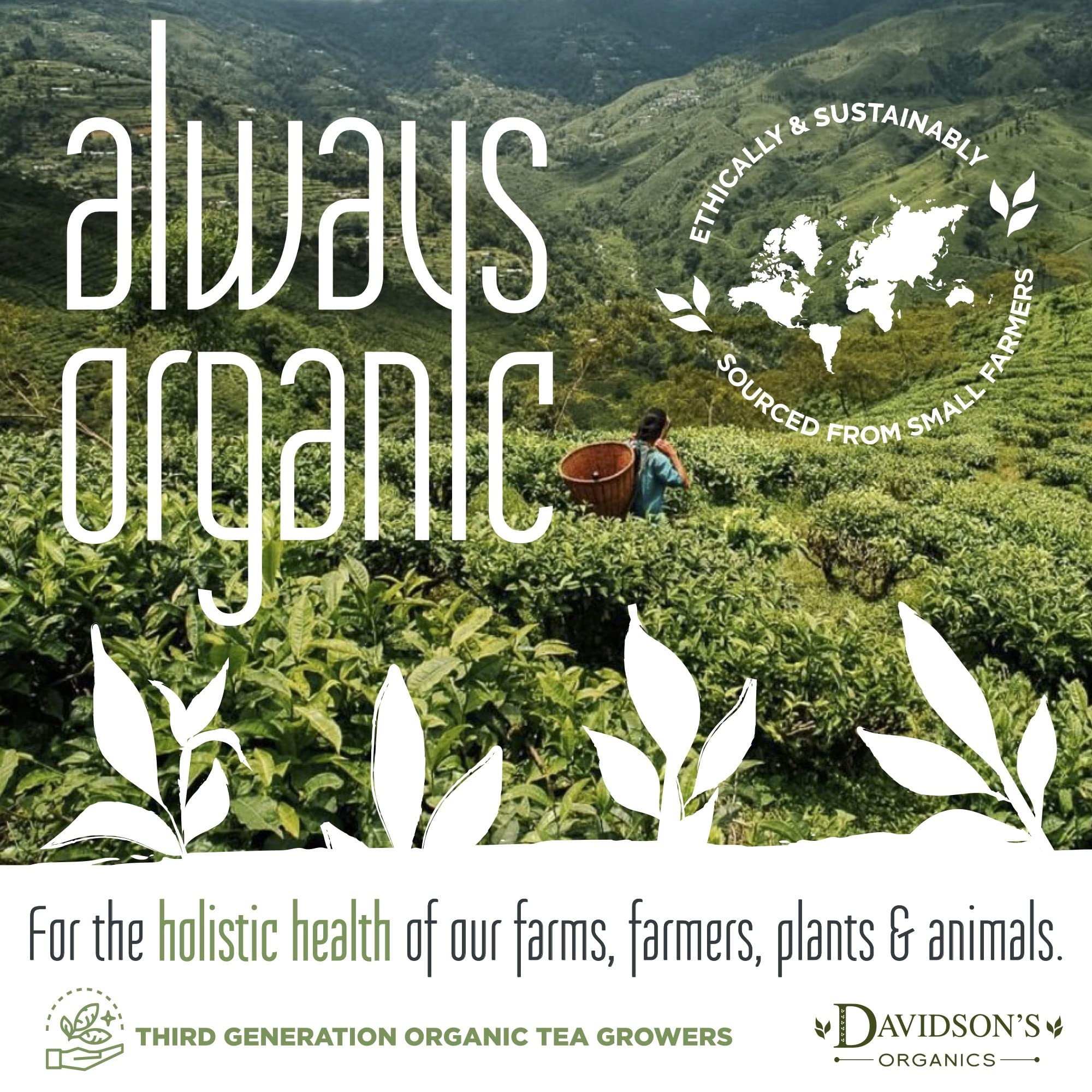 Davidson's Organics USDA organic seal on packaging