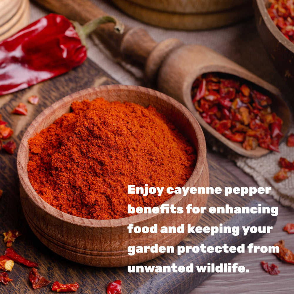 Deal Supplement cayenne pepper powder ideal for marinades, rubs, and sauces.