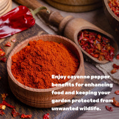 Deal Supplement cayenne pepper powder ideal for marinades, rubs, and sauces.