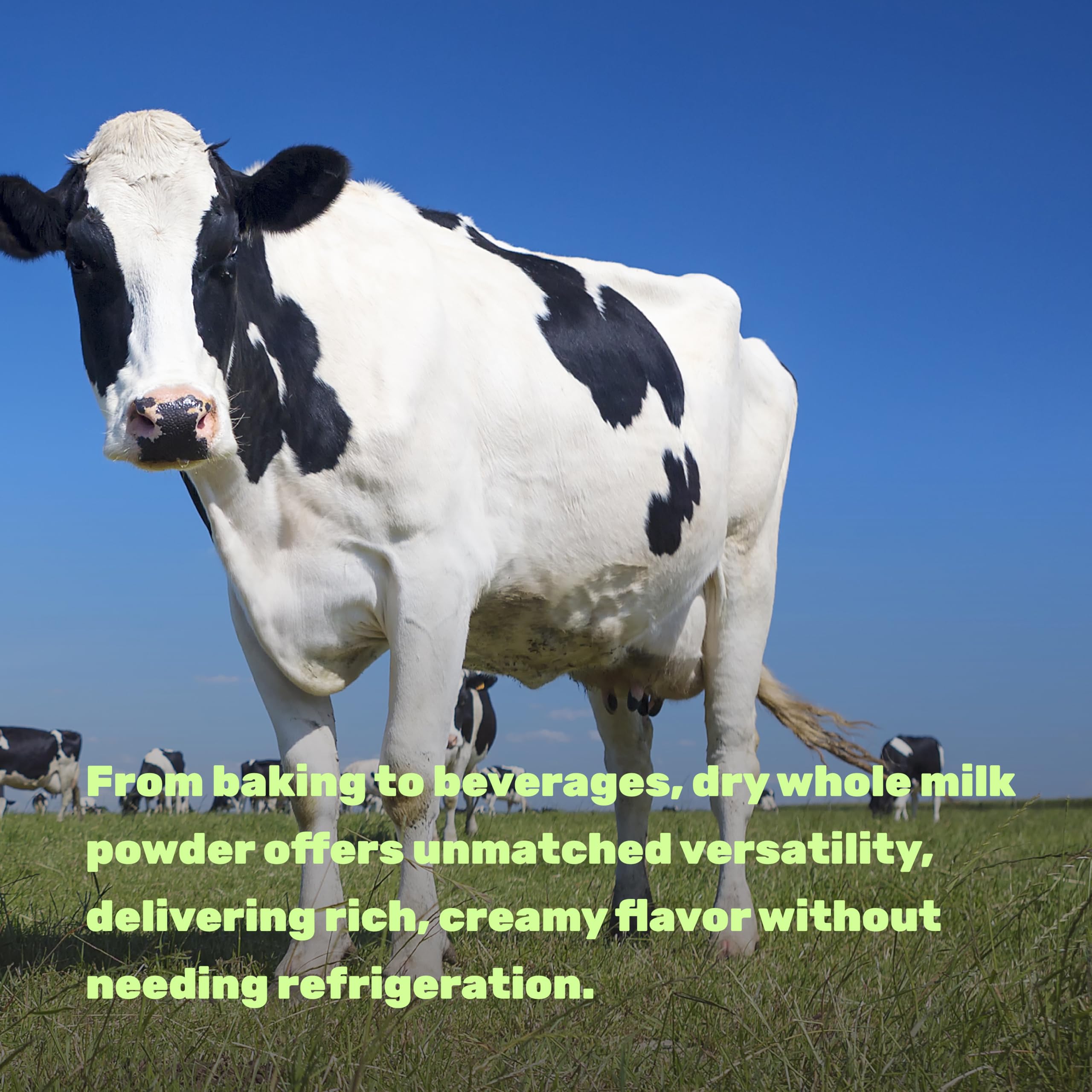 DEAL SUPPLEMENT dry milk powder enhances baking and cooking results.