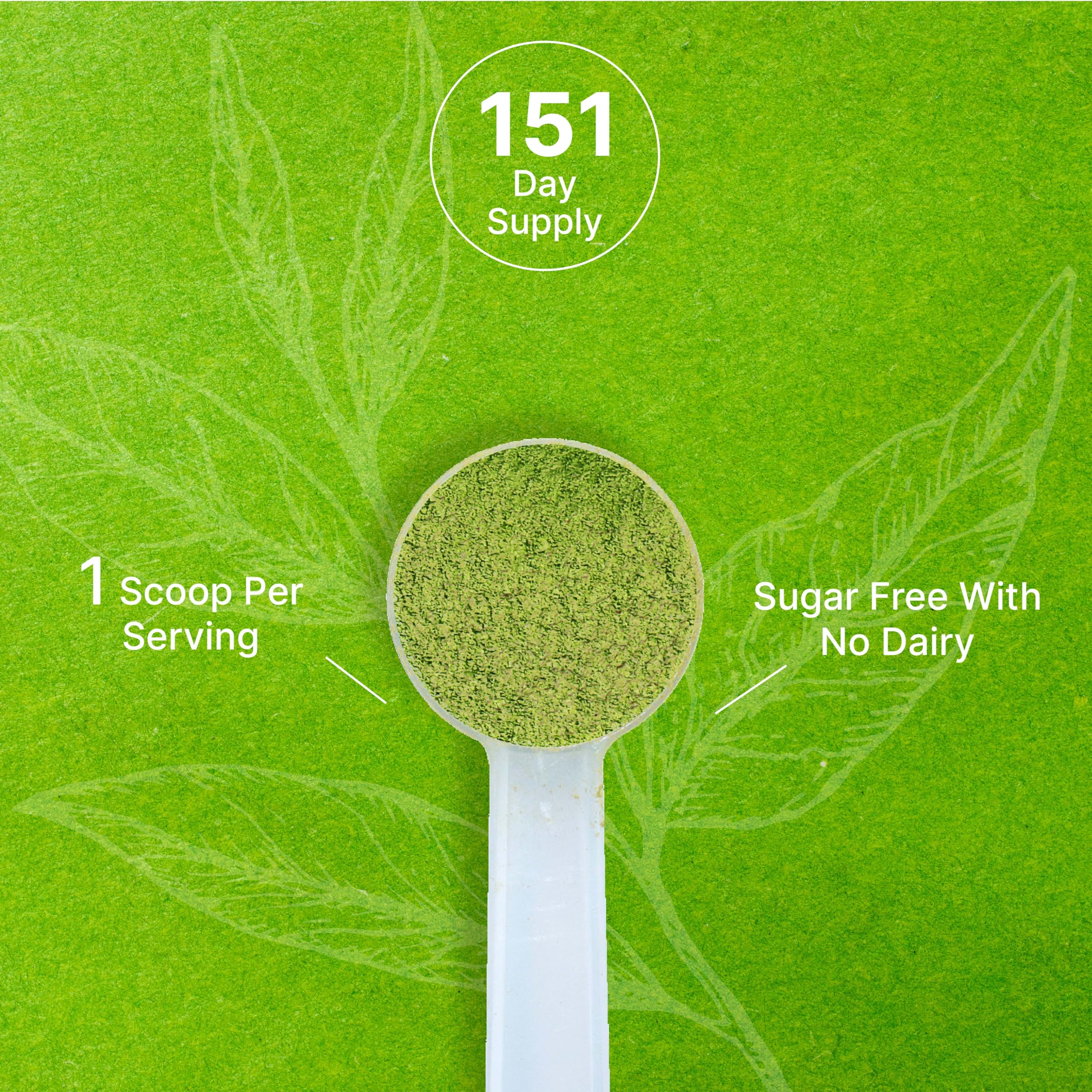 Deal Supplement Organic Matcha Baking—vibrant color for cakes and pastries.