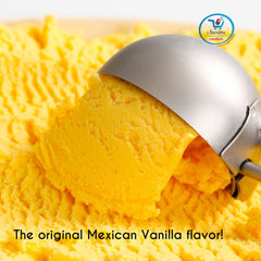 Deiman Vanilla C ice cream mix demonstrates even dispersion and rich vanilla profile.