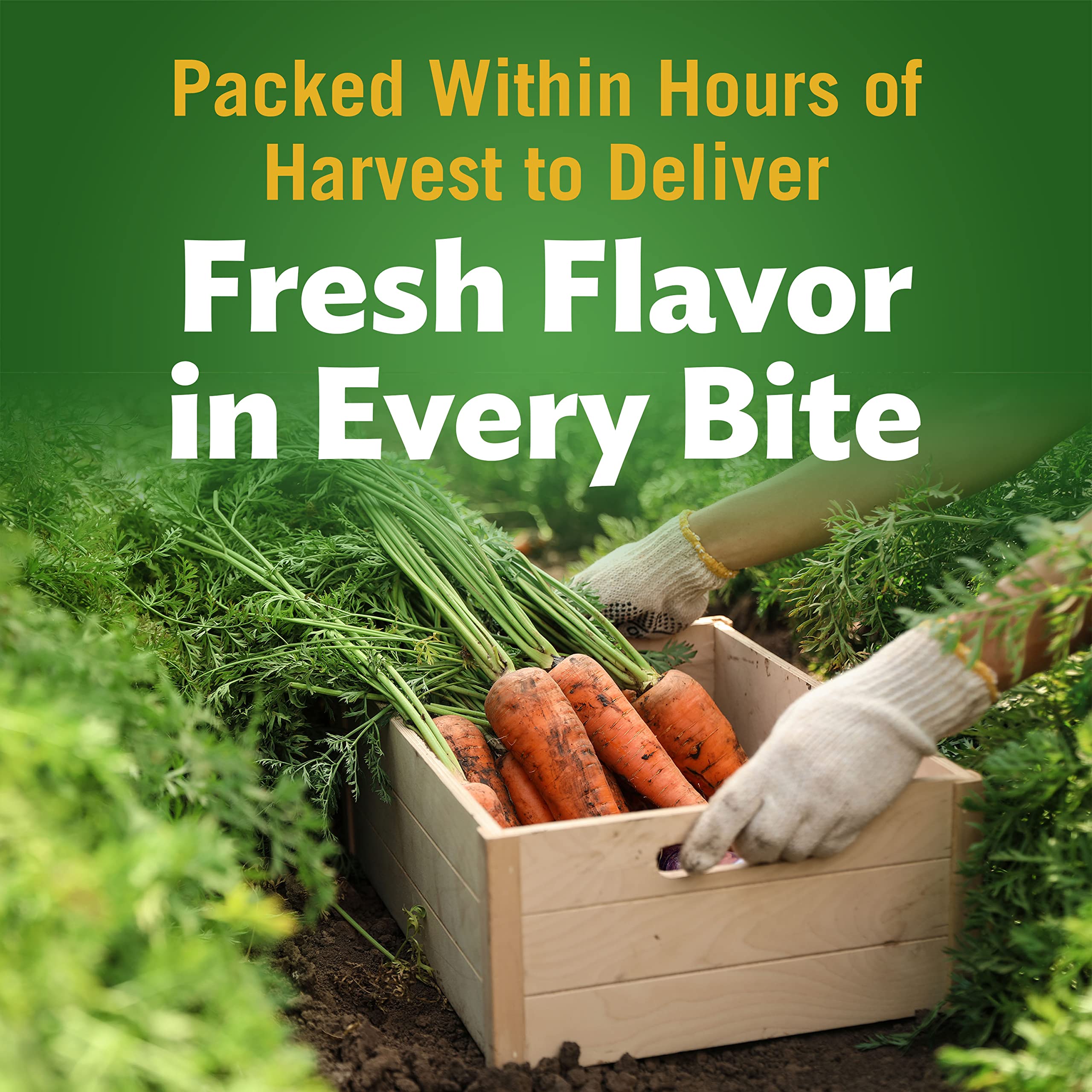 Del Monte Fresh Cut Sliced Carrots serving-bowl, versatile in salads and stews.