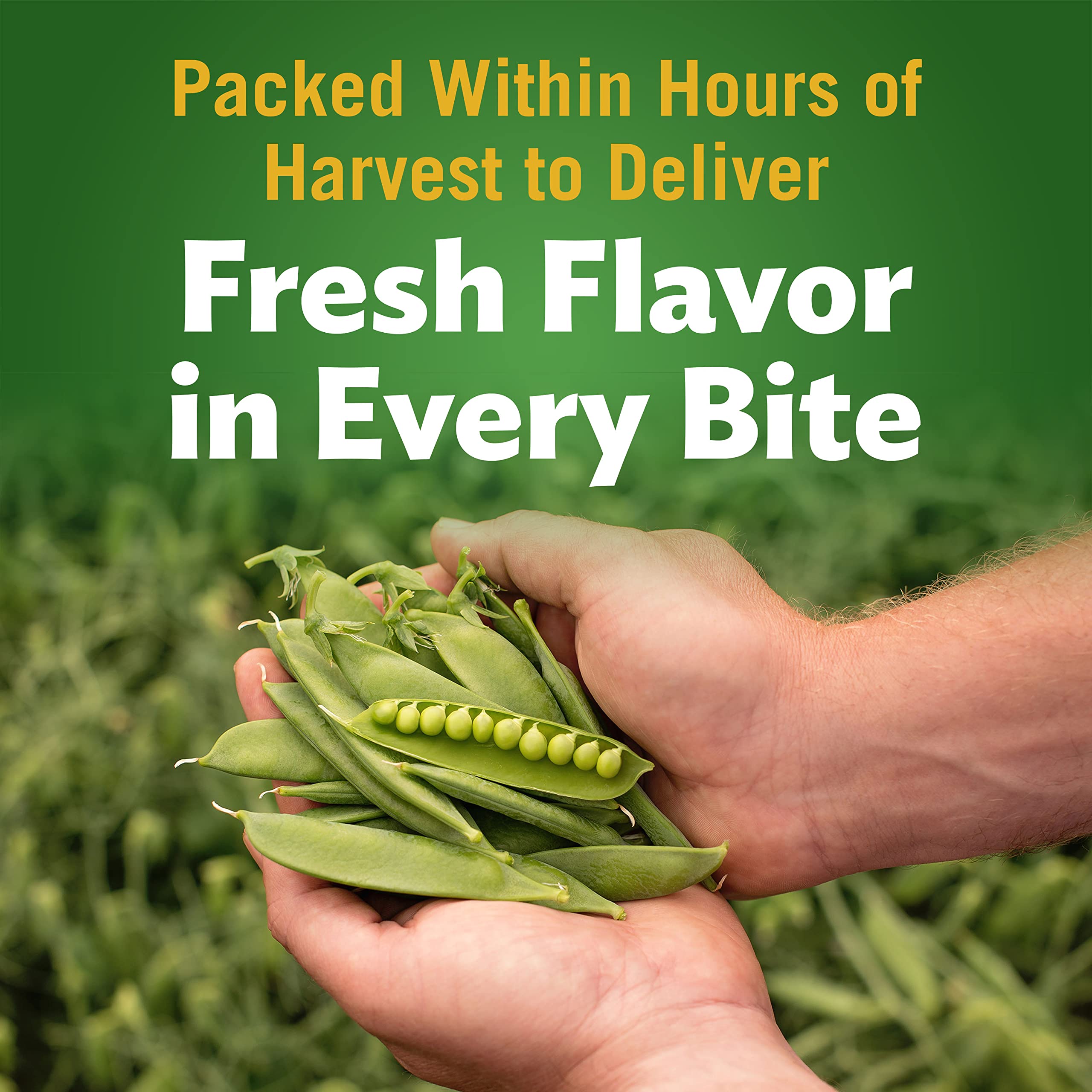 Label highlights Non-GMO and absence of artificial additives.