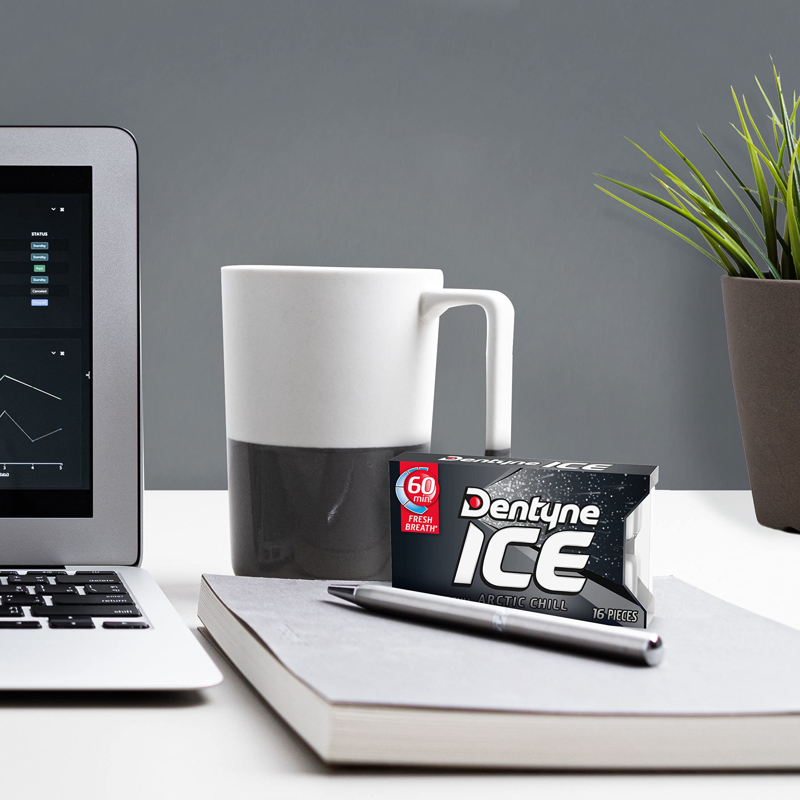 Dentyne Ice Arctic Chill purse pack convenient for quick refresh