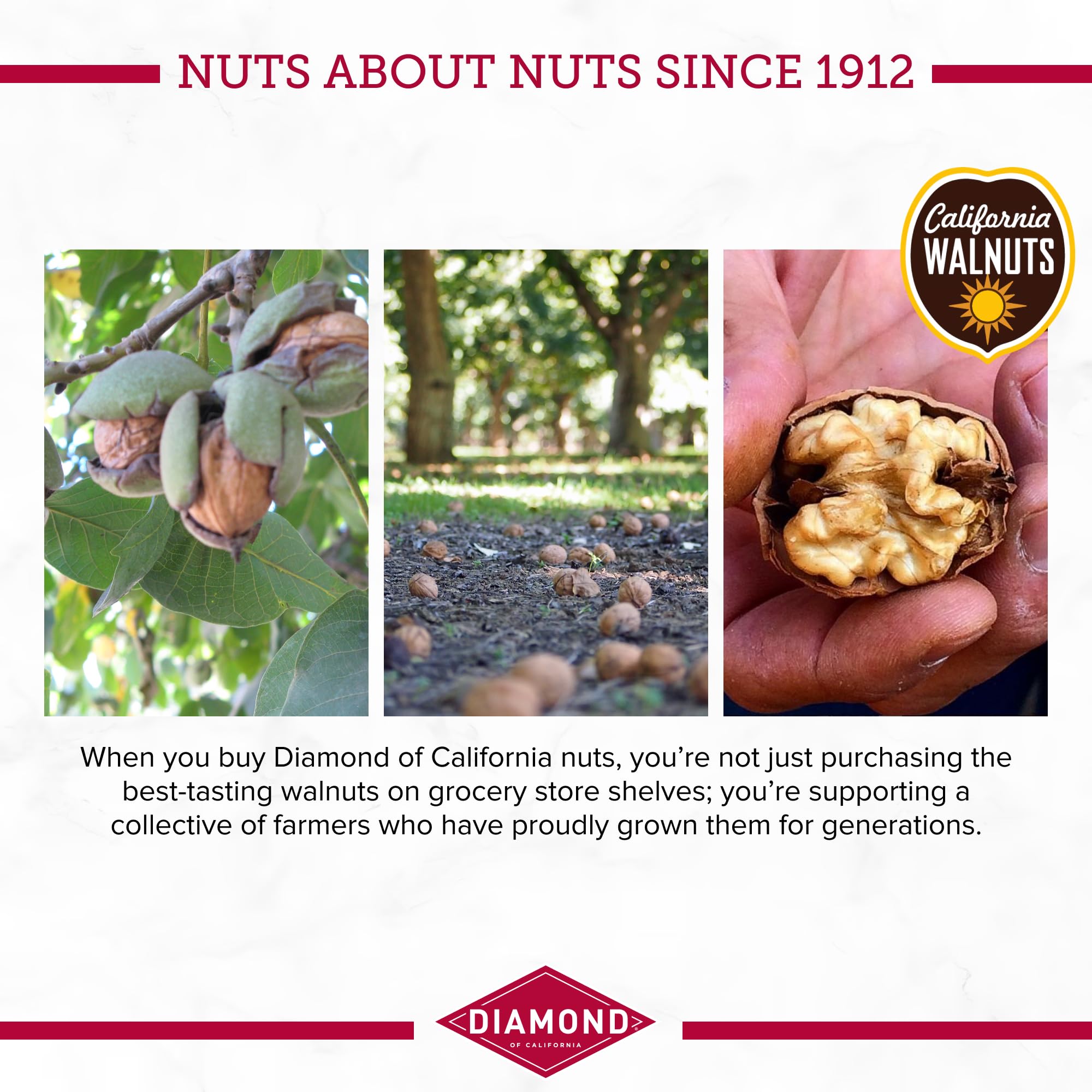 Diamond of California walnuts in a snack bowl, gluten-free friendly.