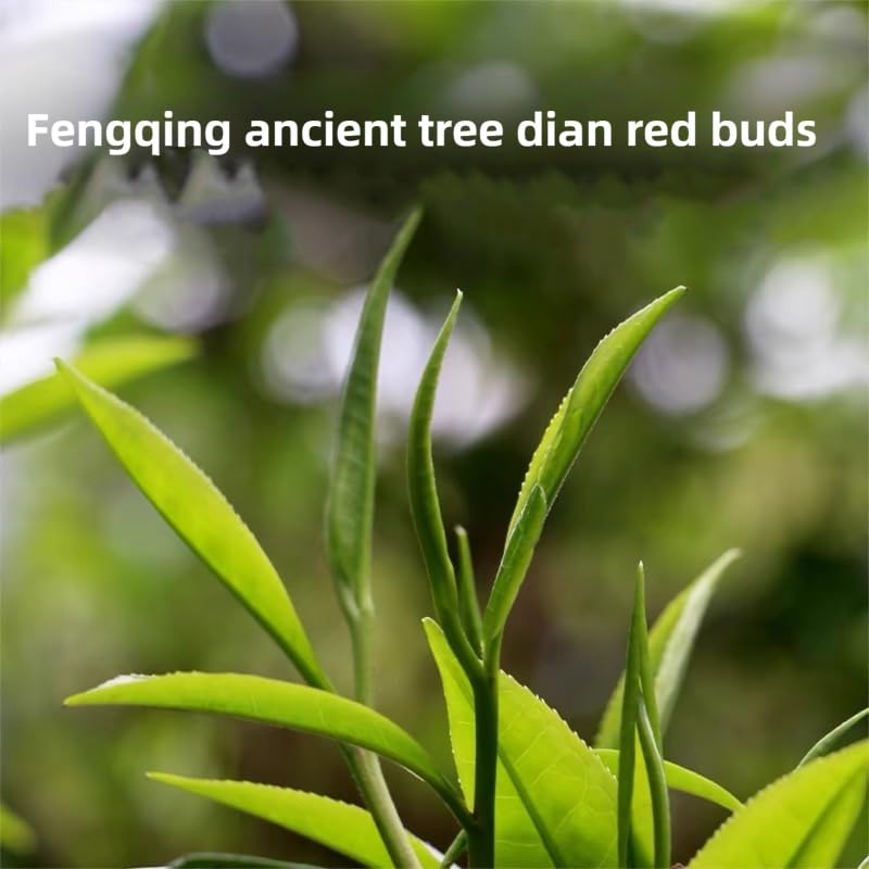 DIAN MAI HAO Yunnan Golden Special copper-colored cup delivers malt-forward depth with cinnamon hints.