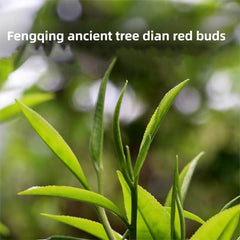 DIAN MAI HAO Yunnan Golden Special copper-colored cup delivers malt-forward depth with cinnamon hints.