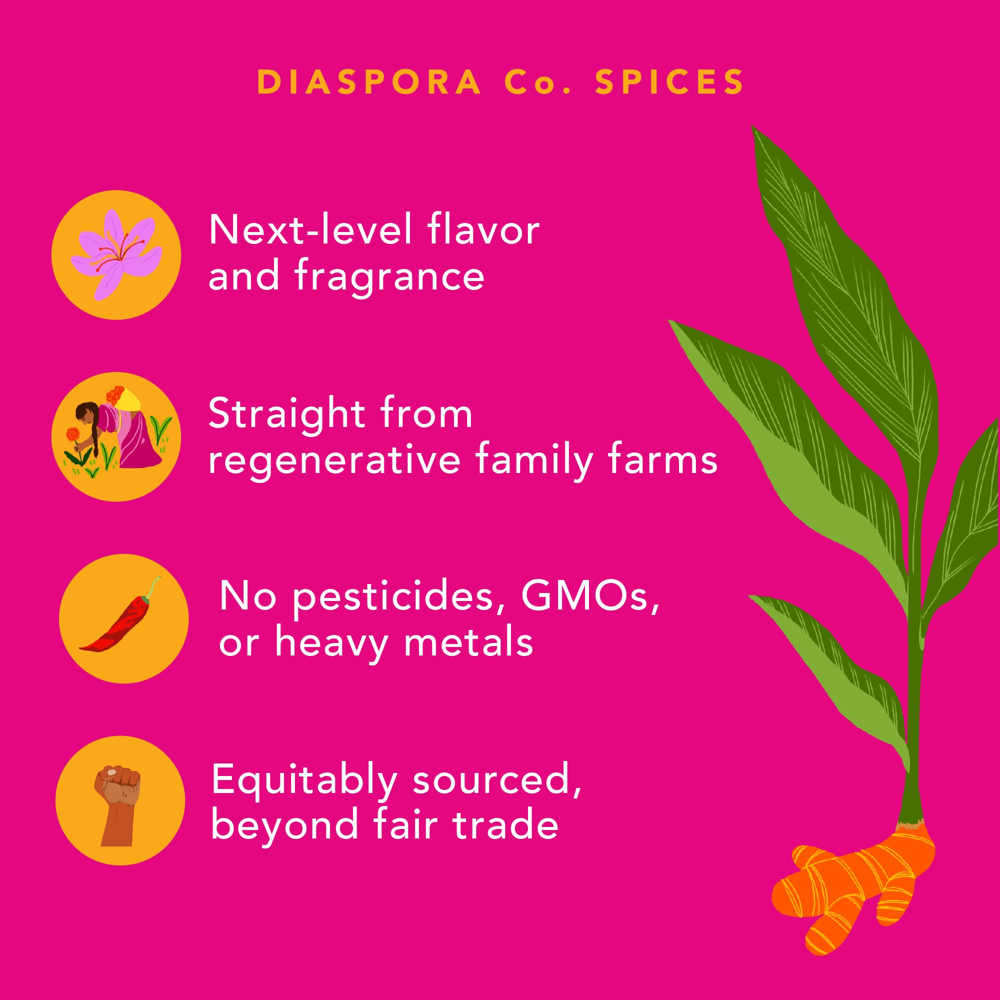 Diaspora Co spiced blend pouring into mug for a cozy drink