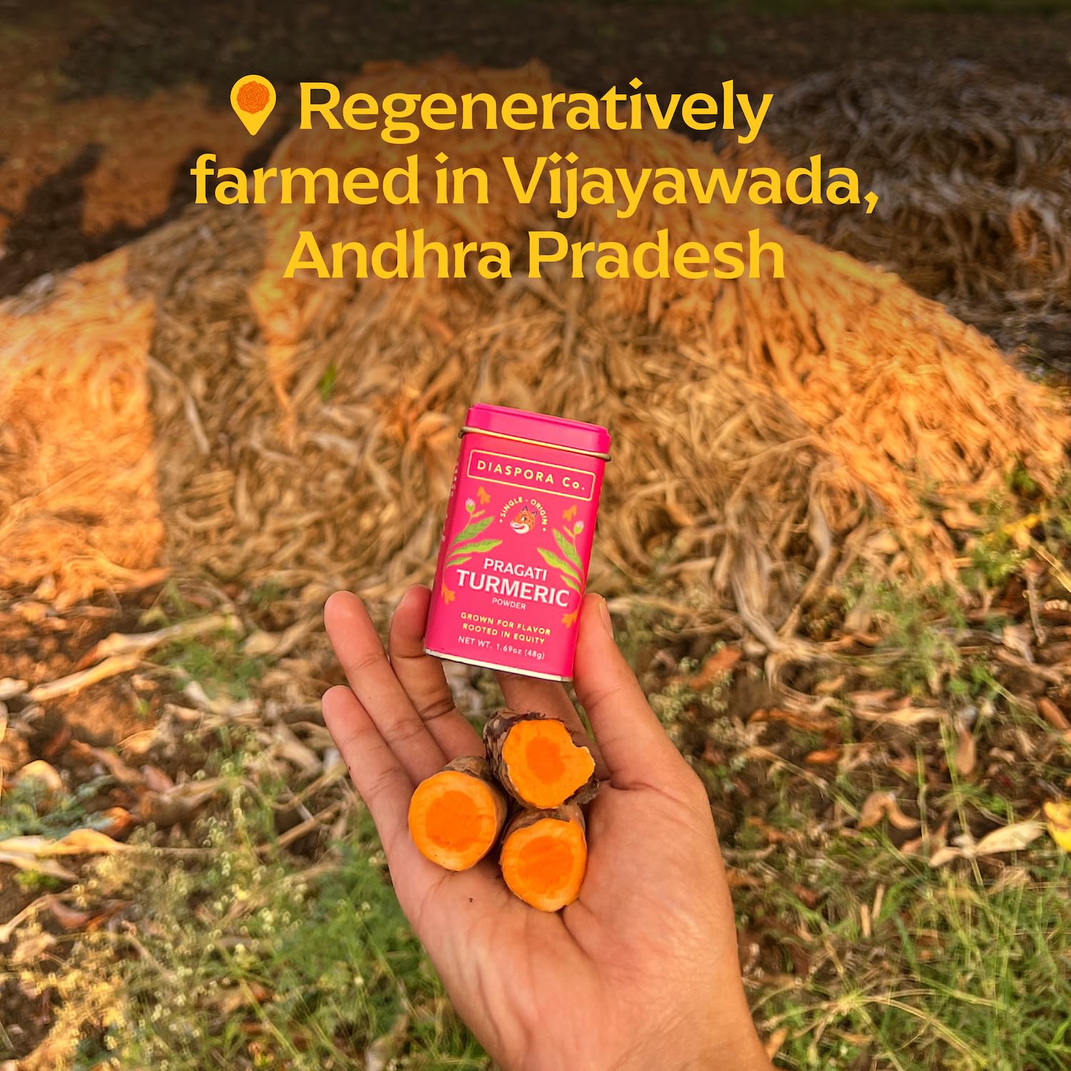 Diaspora Co Pragati turmeric on roasted vegetables enhancing flavor and color.