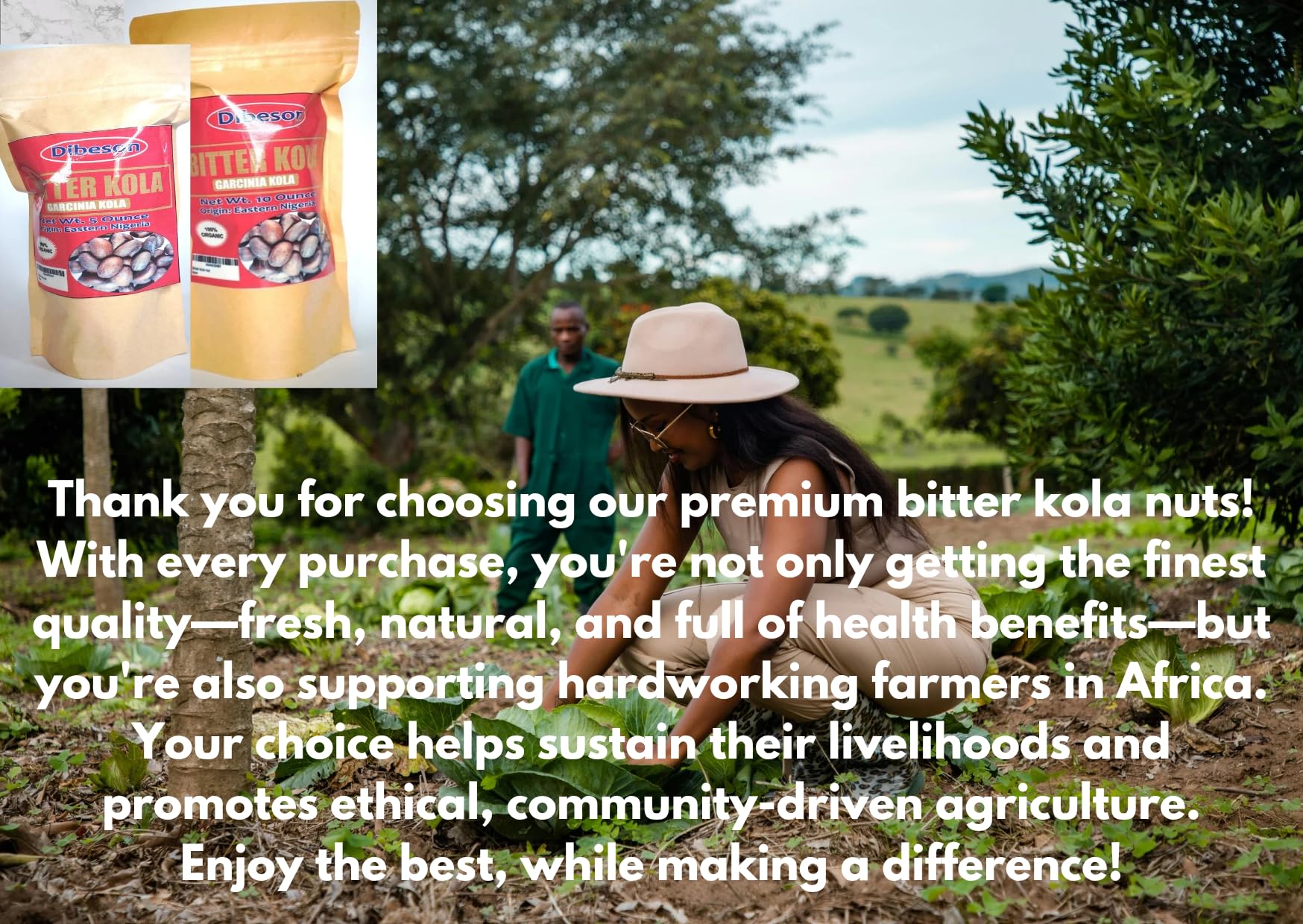Dibeson heritage bitter kola reflects traditional processing