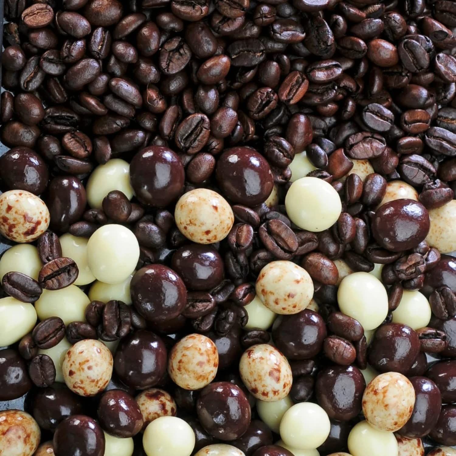 Dilettante Espresso Blend milk chocolate-coated bites with creamy sweetness