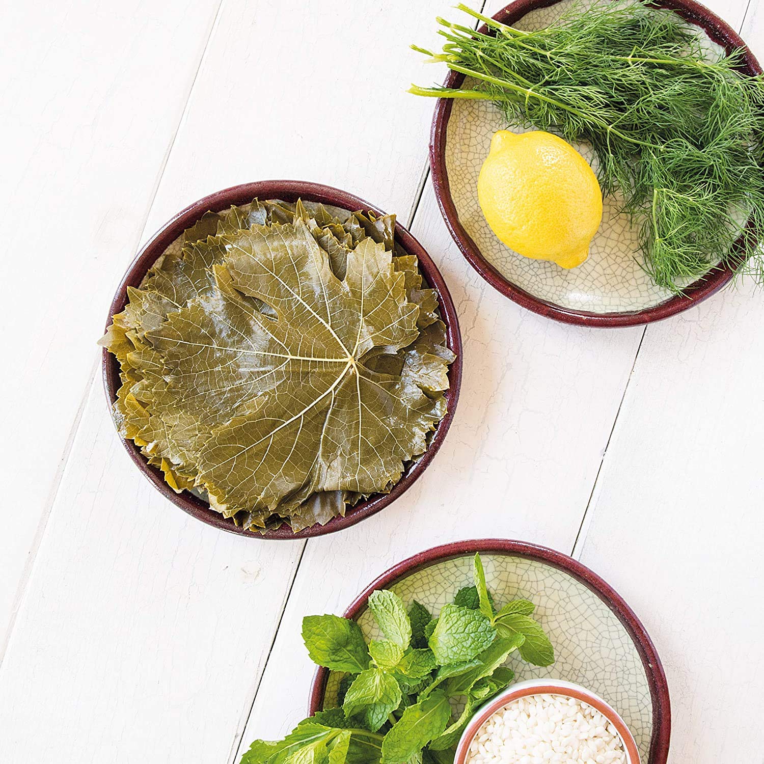 Divina Dolmas plated with feta and pita for an appetizer course.