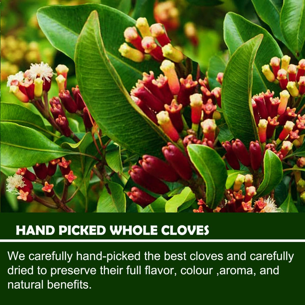 Diyon dried cloves enhancing desserts with warm hints
