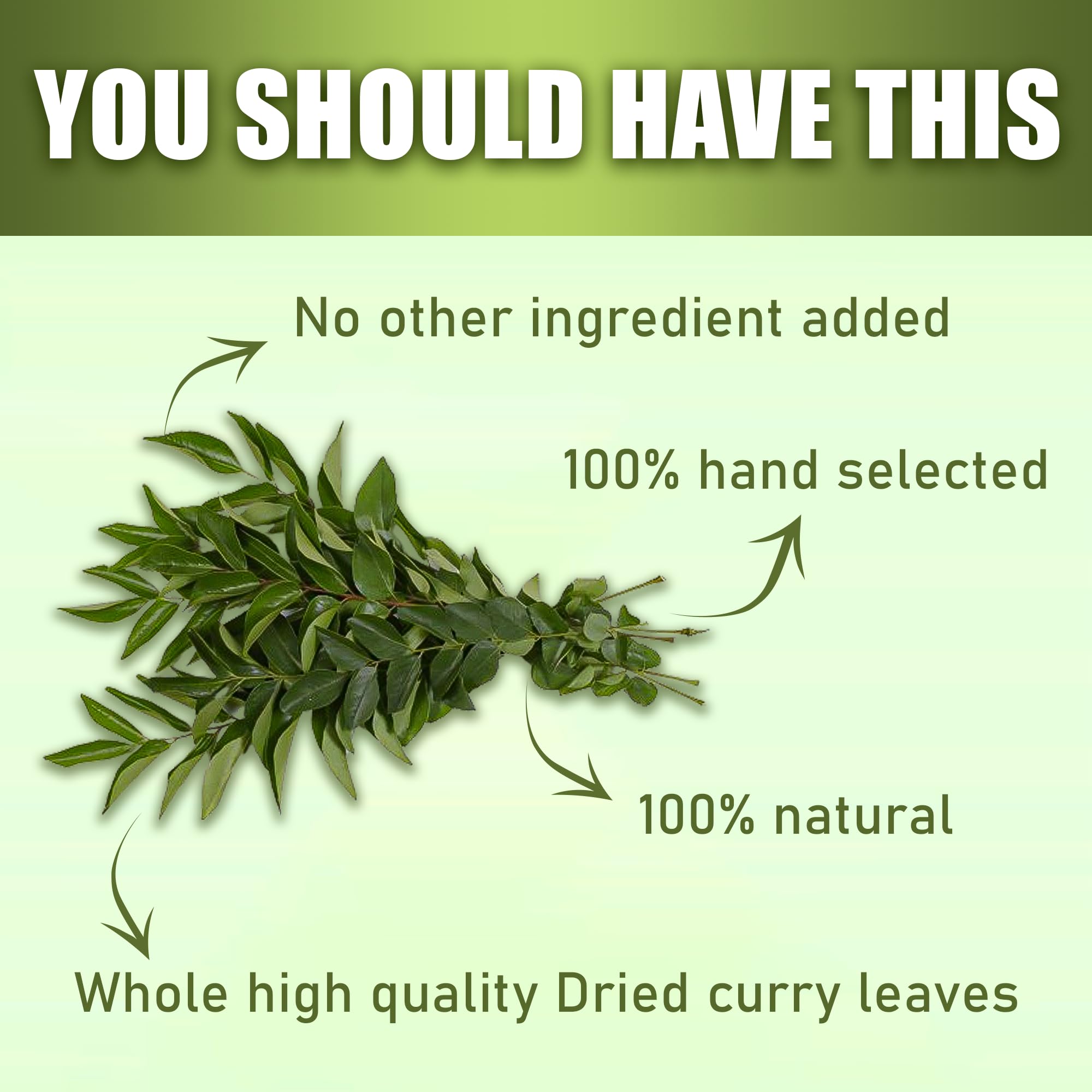 Diyon's curry leaves hand-picked process shown for quality