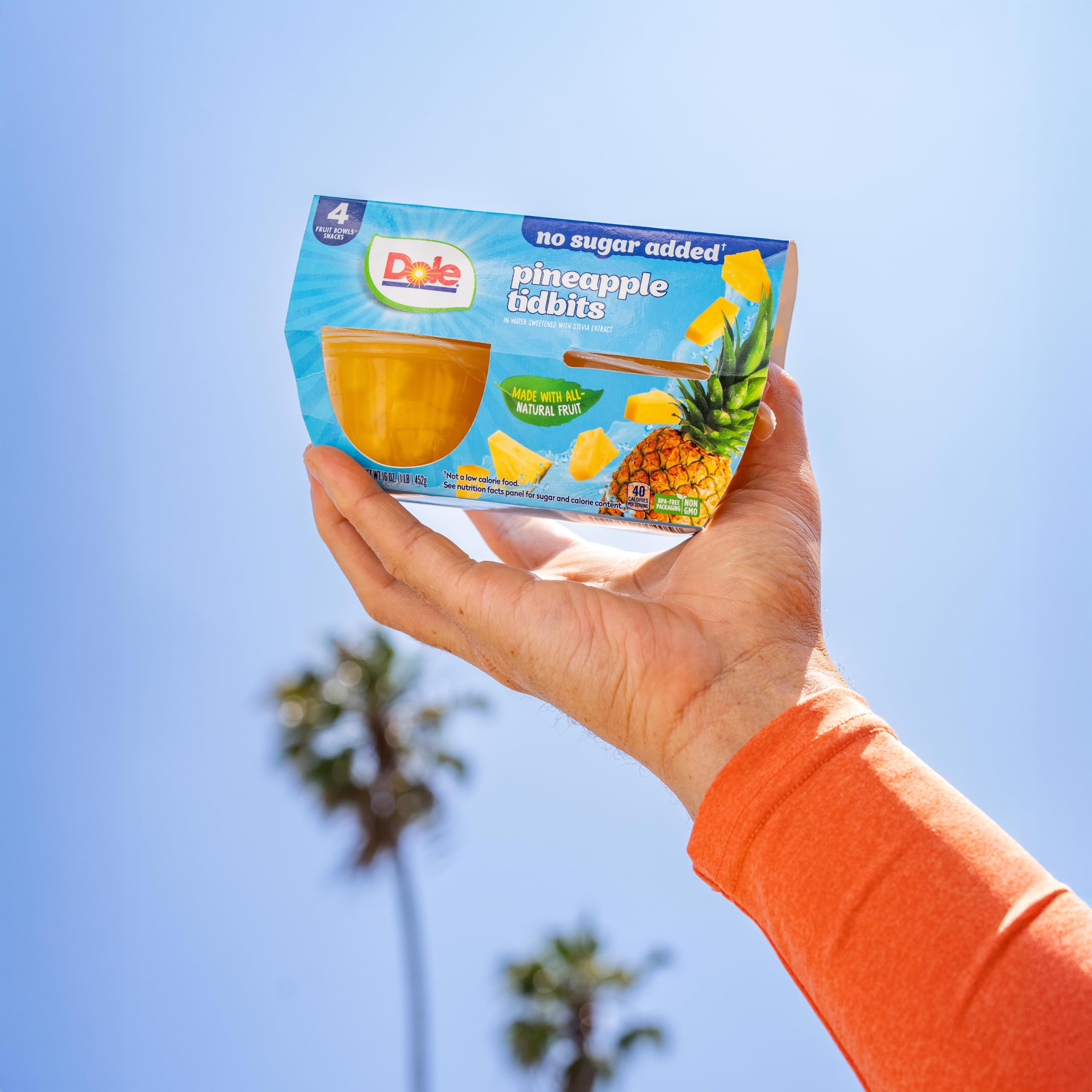Dole Fruit Bowls lunchbox-friendly pack for school or work snacks.