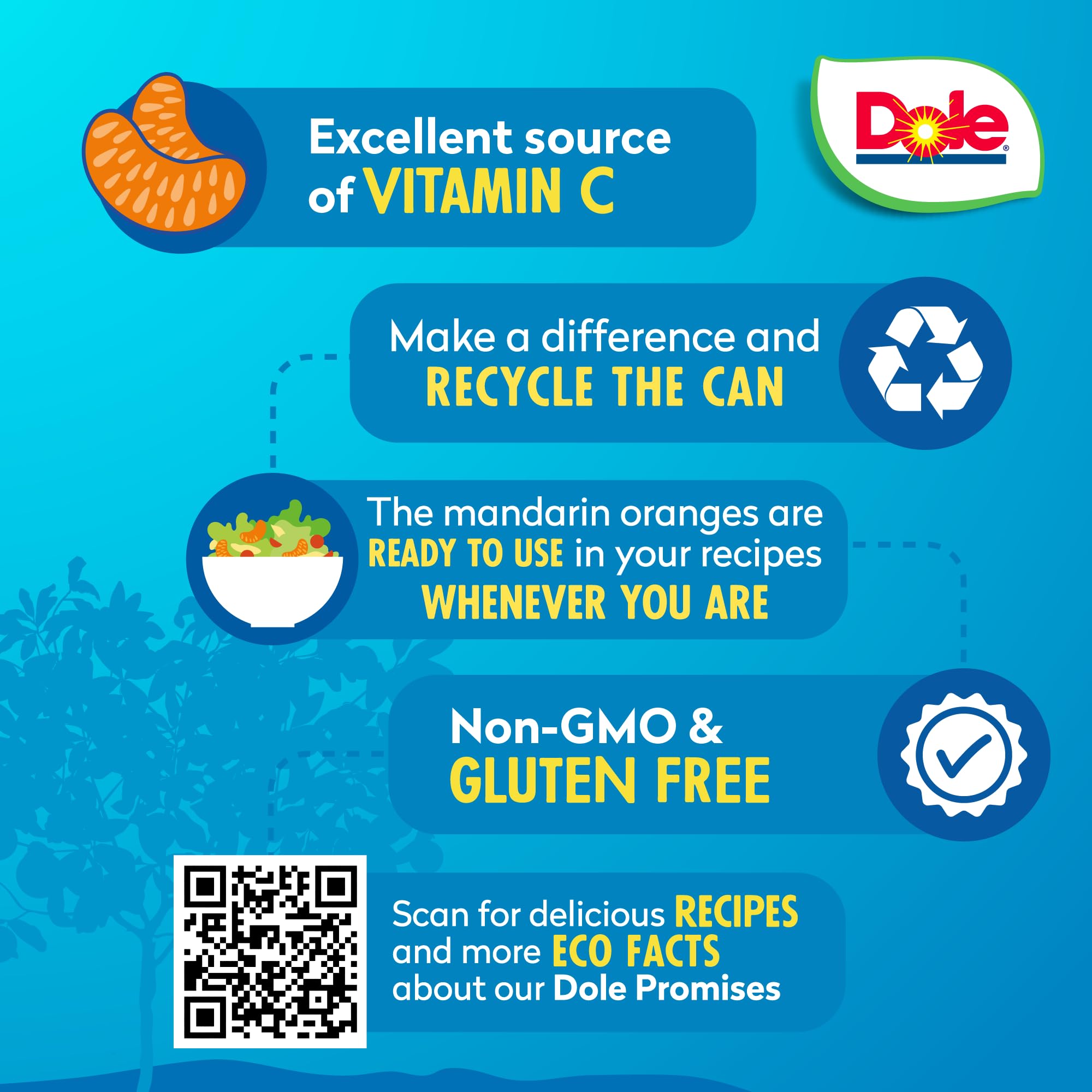 Dole mandarin oranges juicy-slices highlight natural sweetness in juice.