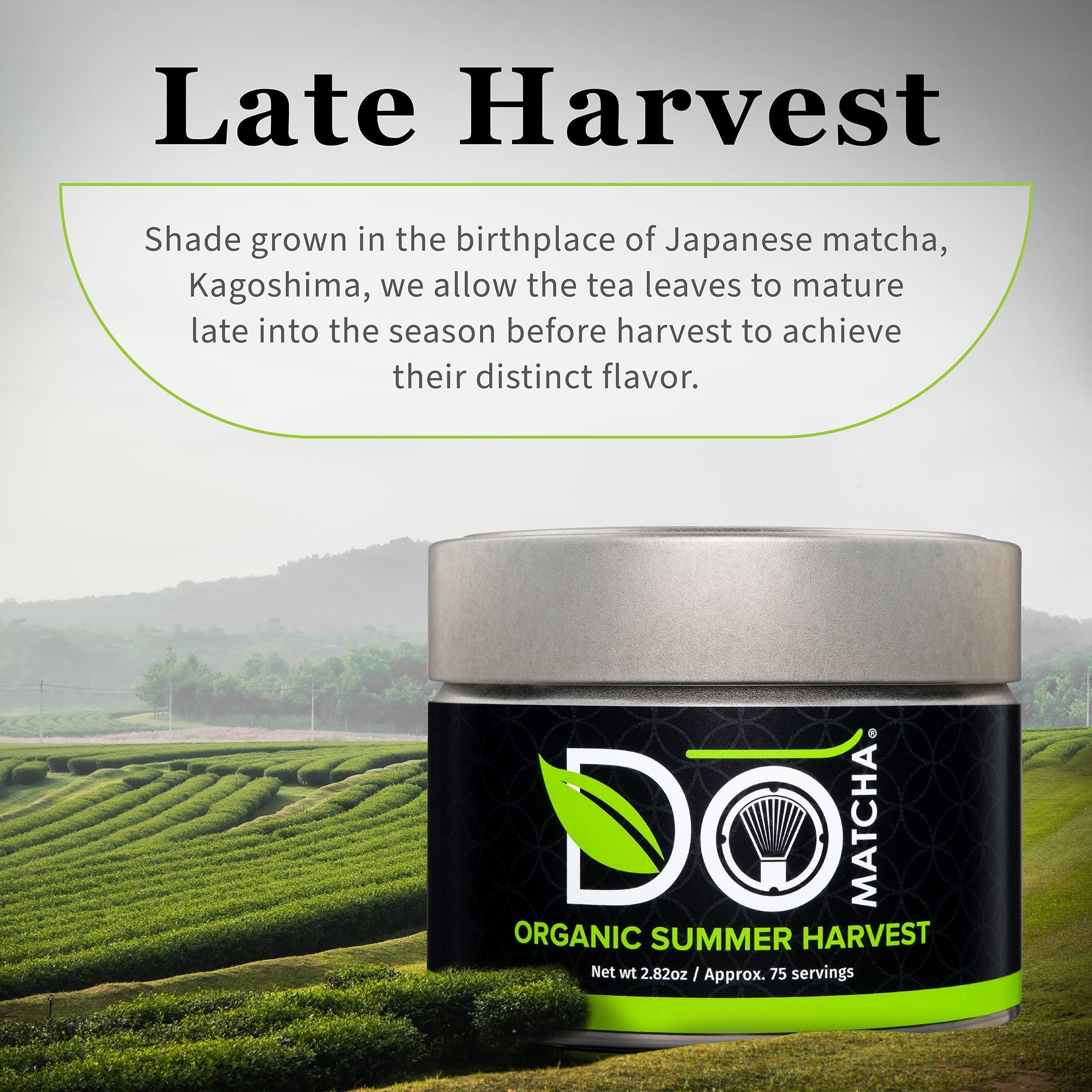 DoMatcha organic certifications seal conveys purity and trust.