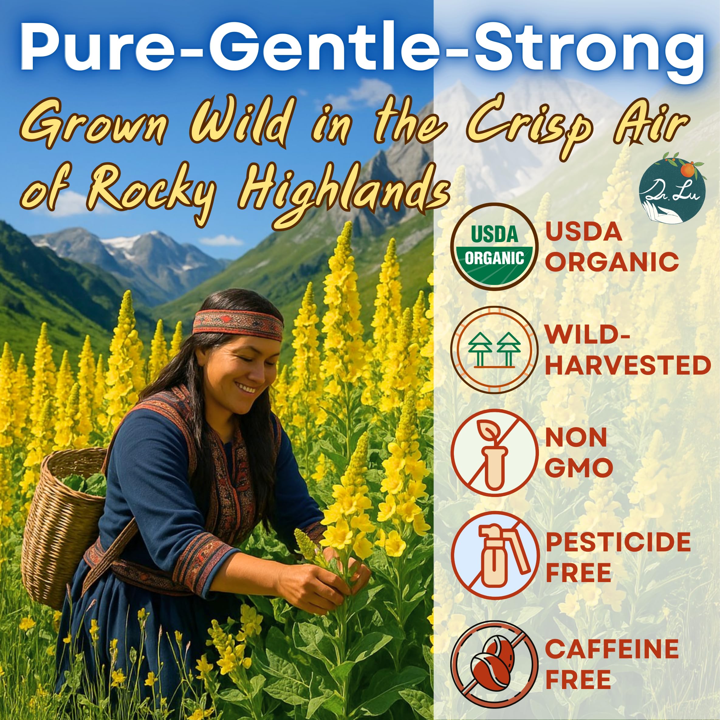 Dr. Lu’s Mullein Tea bags in pyramid packaging designed for full infusion.