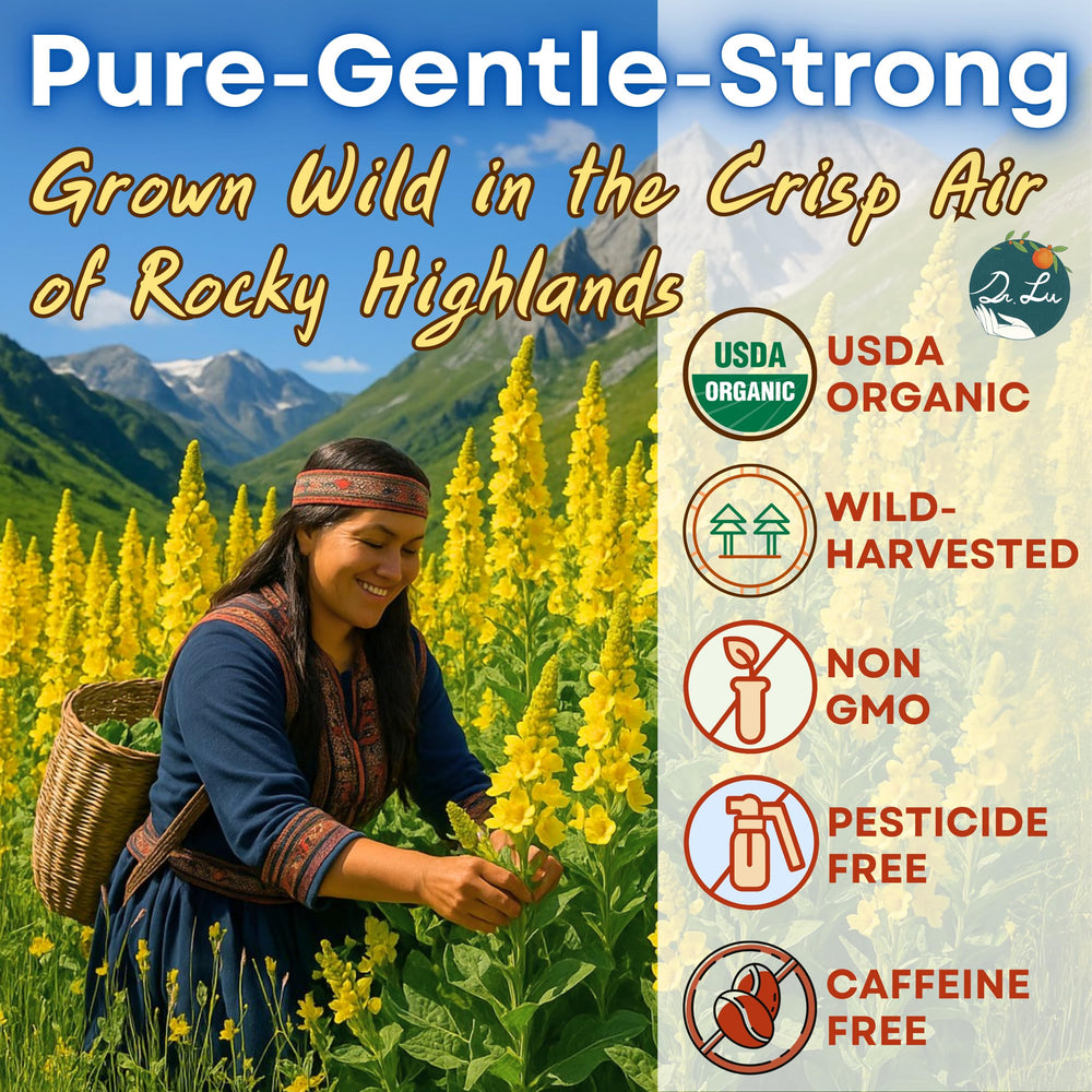 Dr. Lu’s Mullein Tea bags in pyramid packaging designed for full infusion.