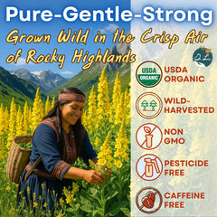 Dr. Lu’s Mullein Tea bags in pyramid packaging designed for full infusion.