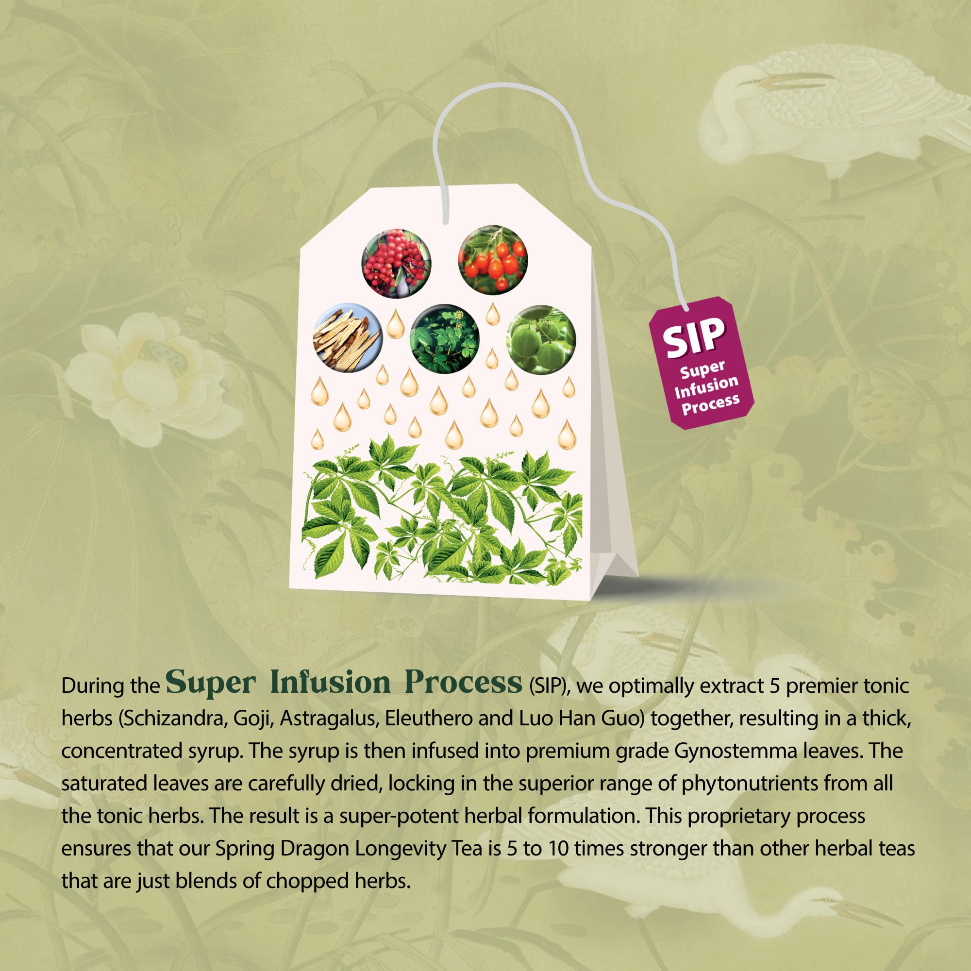 Dragon Herbs Spring Dragon Longevity Tea steeped cup releasing soothing aroma.