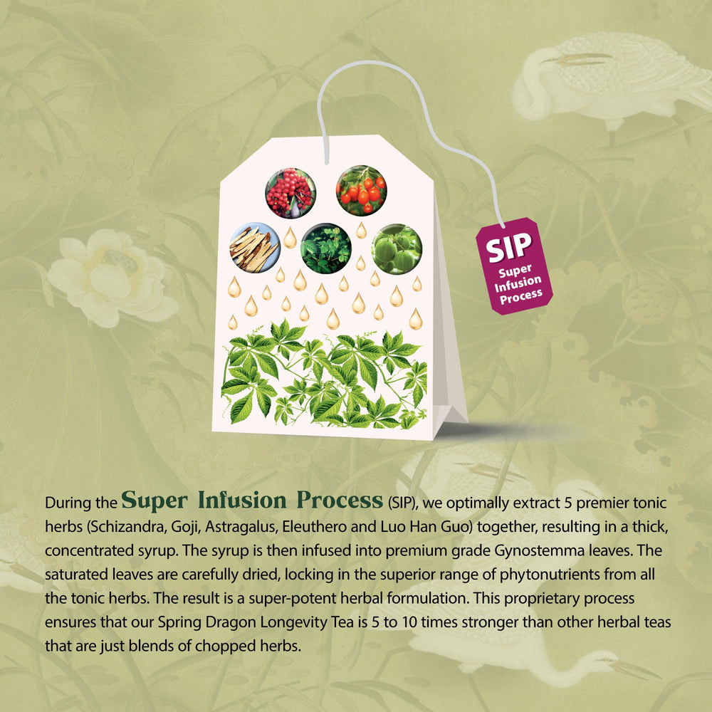 Dragon Herbs Spring Dragon Longevity Tea steeped cup releasing soothing aroma.