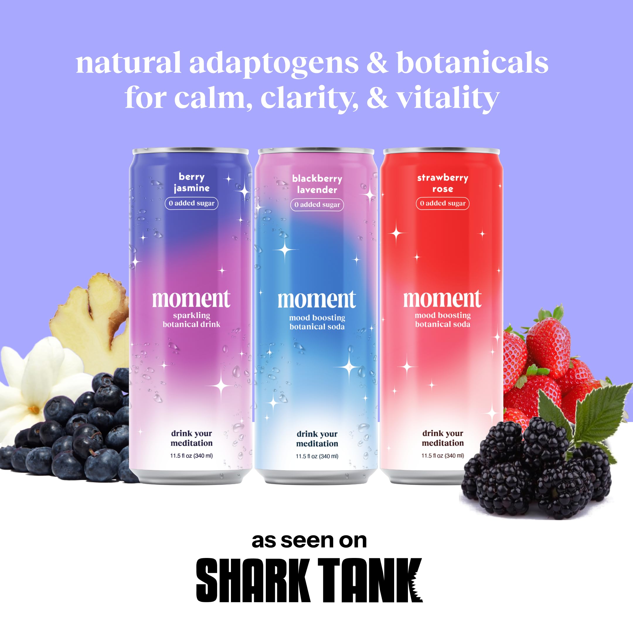 Drink Your Meditation Moment Berry Blast ingredients hibiscus and mint highlighted for natural flavor
