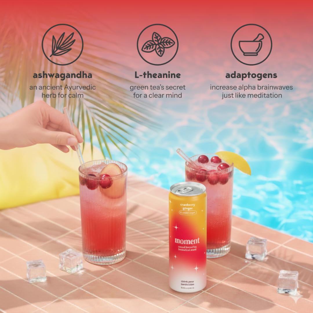 Hibiscus and mint botanicals in Moment, antioxidant-forward aroma and bright taste