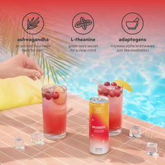 Hibiscus and mint botanicals in Moment, antioxidant-forward aroma and bright taste